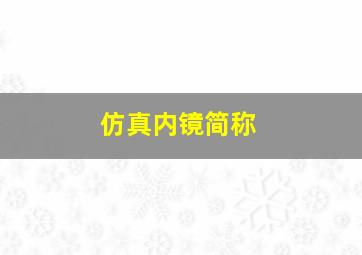 仿真内镜简称