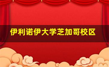 伊利诺伊大学芝加哥校区