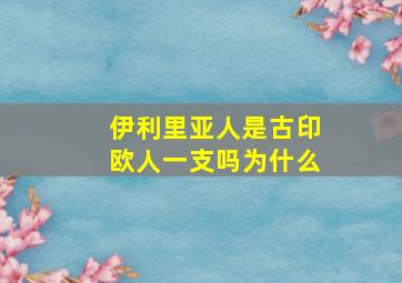 伊利里亚人是古印欧人一支吗为什么