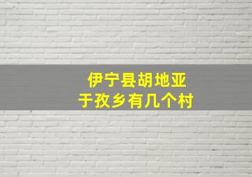 伊宁县胡地亚于孜乡有几个村