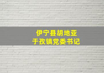 伊宁县胡地亚于孜镇党委书记