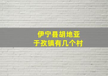 伊宁县胡地亚于孜镇有几个村