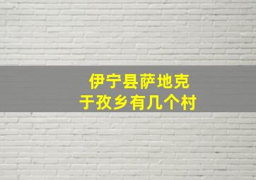 伊宁县萨地克于孜乡有几个村