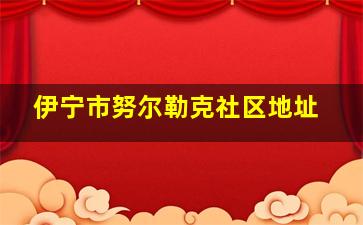 伊宁市努尔勒克社区地址