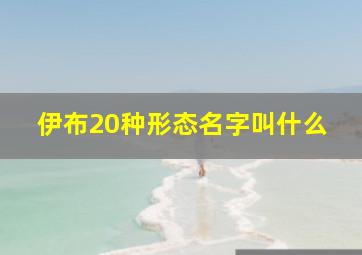 伊布20种形态名字叫什么