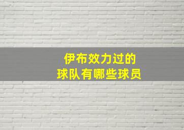 伊布效力过的球队有哪些球员