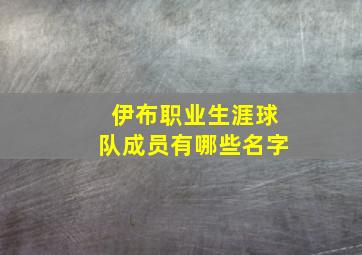 伊布职业生涯球队成员有哪些名字