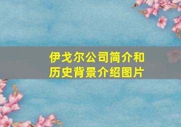 伊戈尔公司简介和历史背景介绍图片