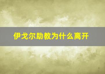 伊戈尔助教为什么离开