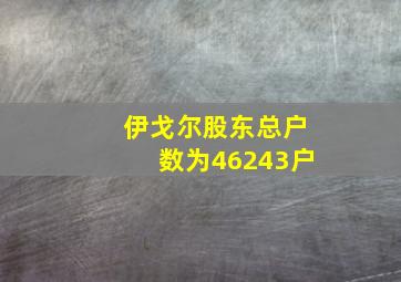 伊戈尔股东总户数为46243户