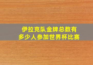 伊拉克队金牌总数有多少人参加世界杯比赛