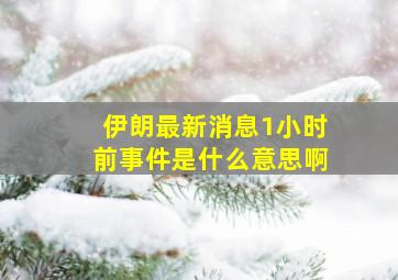 伊朗最新消息1小时前事件是什么意思啊