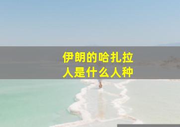 伊朗的哈扎拉人是什么人种