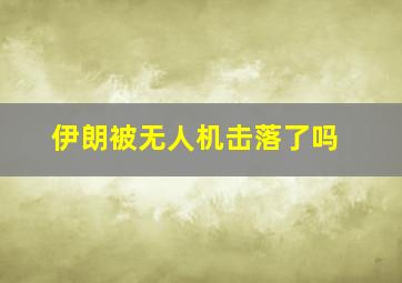 伊朗被无人机击落了吗