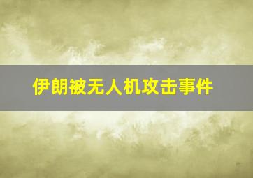 伊朗被无人机攻击事件