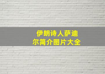 伊朗诗人萨迪尔简介图片大全