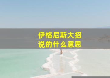 伊格尼斯大招说的什么意思