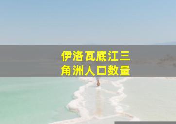 伊洛瓦底江三角洲人口数量