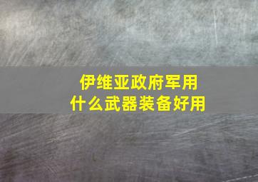 伊维亚政府军用什么武器装备好用