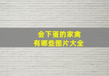 会下蛋的家禽有哪些图片大全