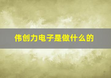 伟创力电子是做什么的