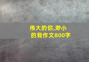 伟大的你,渺小的我作文800字