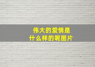 伟大的爱情是什么样的呢图片