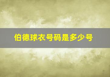 伯德球衣号码是多少号