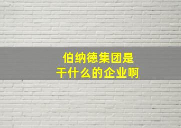 伯纳德集团是干什么的企业啊