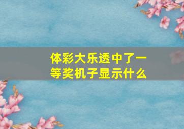 体彩大乐透中了一等奖机子显示什么