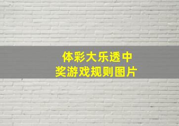 体彩大乐透中奖游戏规则图片