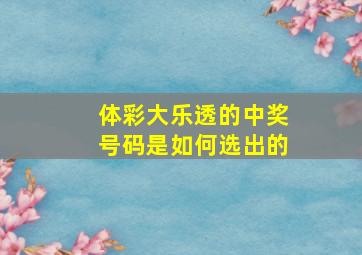 体彩大乐透的中奖号码是如何选出的