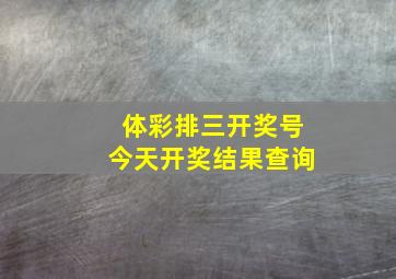 体彩排三开奖号今天开奖结果查询