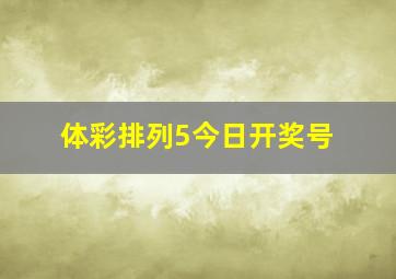 体彩排列5今日开奖号