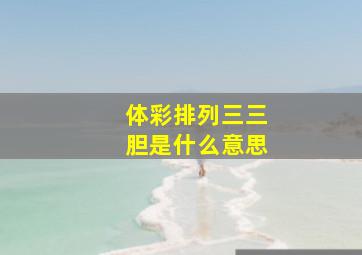 体彩排列三三胆是什么意思