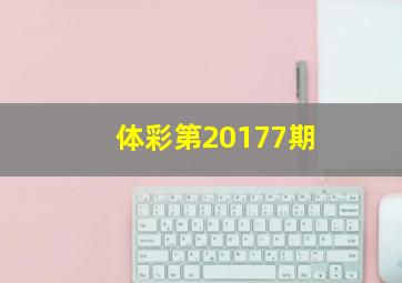 体彩第20177期