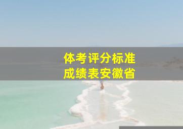 体考评分标准成绩表安徽省