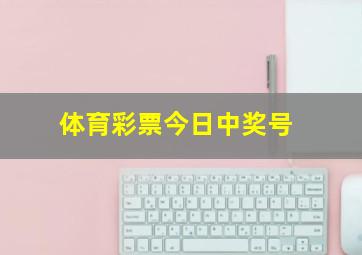 体育彩票今日中奖号