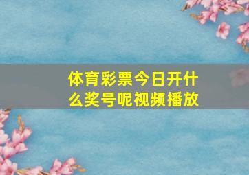 体育彩票今日开什么奖号呢视频播放