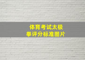 体育考试太极拳评分标准图片