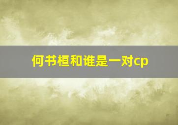 何书桓和谁是一对cp