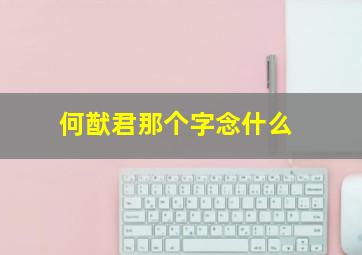 何猷君那个字念什么