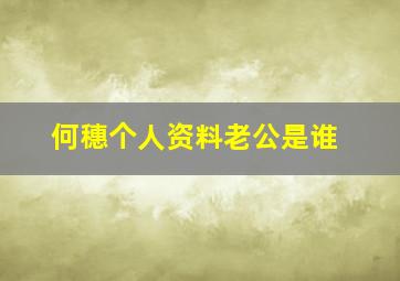 何穗个人资料老公是谁