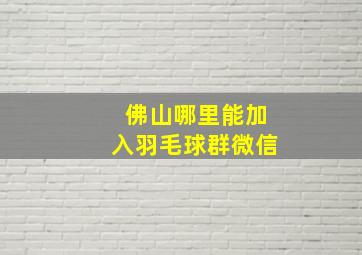 佛山哪里能加入羽毛球群微信