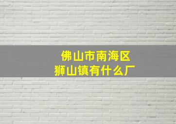 佛山市南海区狮山镇有什么厂