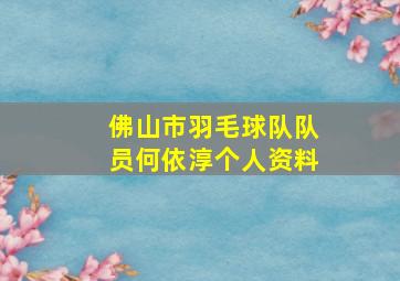 佛山市羽毛球队队员何依淳个人资料