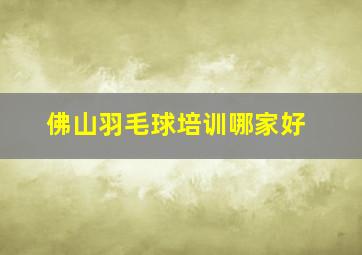 佛山羽毛球培训哪家好