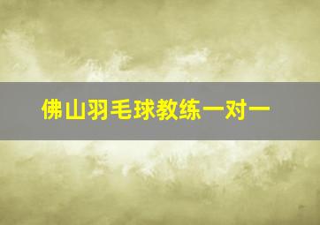 佛山羽毛球教练一对一