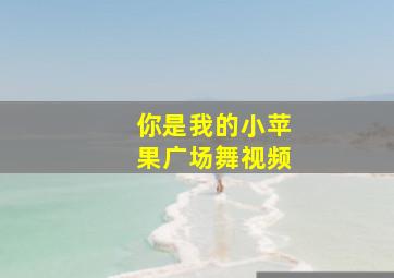 你是我的小苹果广场舞视频