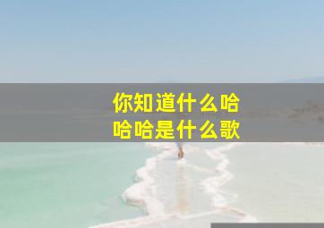 你知道什么哈哈哈是什么歌